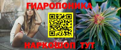 сатива Краснознаменск