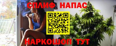 сатива Краснознаменск